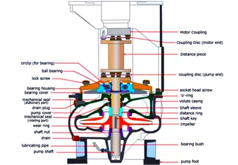 single stage vertical centrifugal pump|centrifugal pump connection diagram.